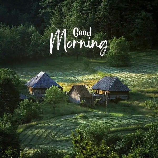 wonderful good morning village images