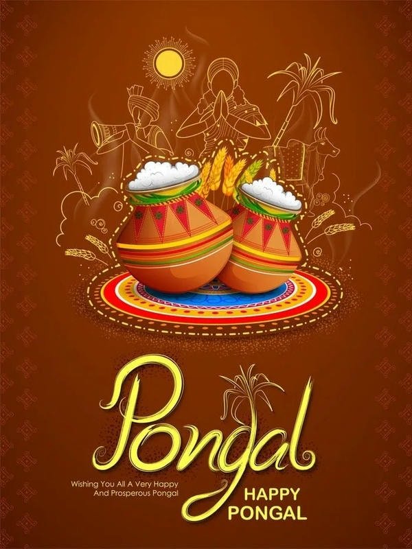 beautiful photos of pongal wishes images new collection