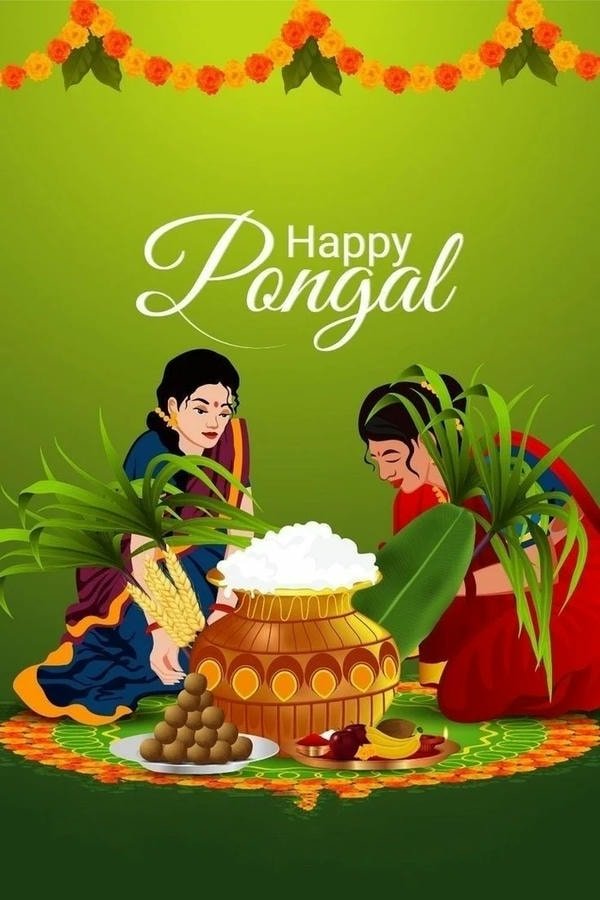 beautiful pongal wishes images hd gallery
