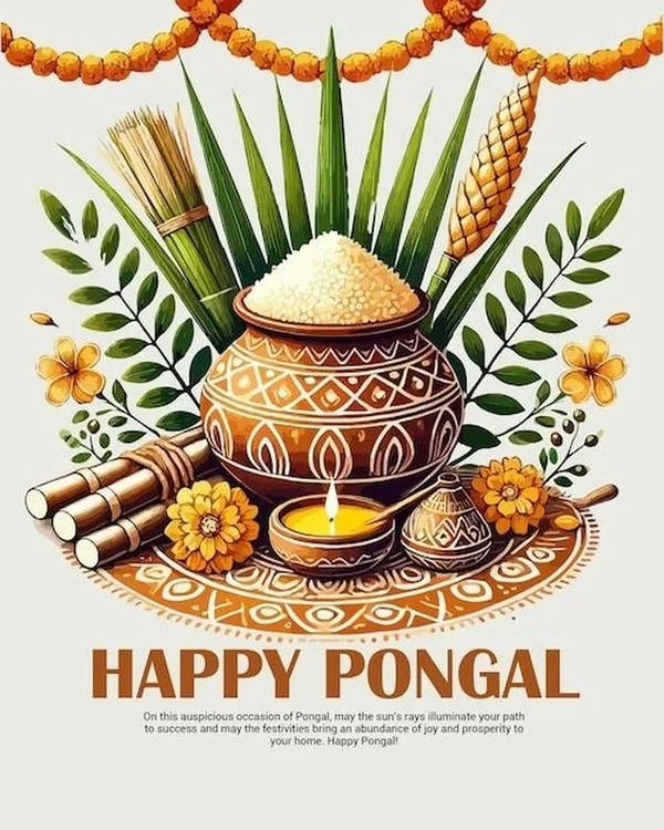 beautiful pongal wishes images wallpapers