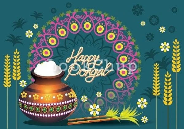 images for pongal wishes images download