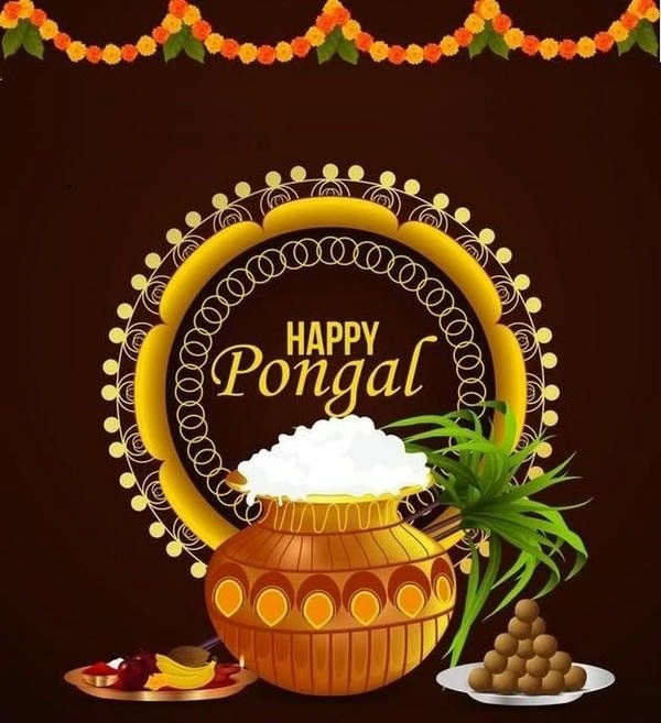 photos of pongal wishes images festival images
