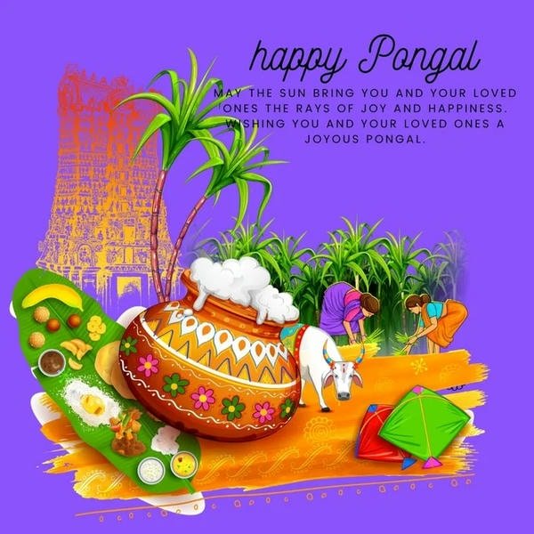 pongal wishes images photos for wallpaper