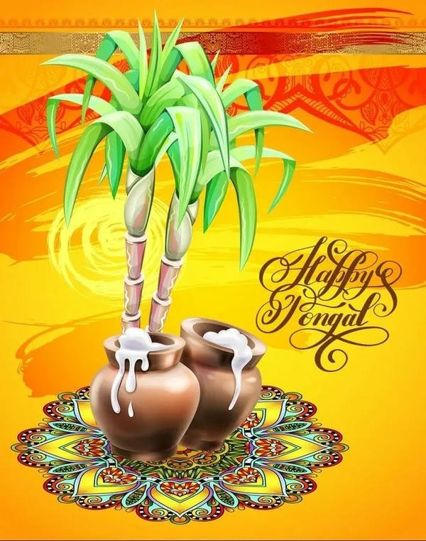 pongal wishes images pics download