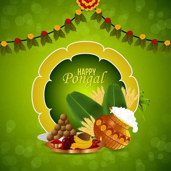 wallpapers of pongal wishes images for desktop