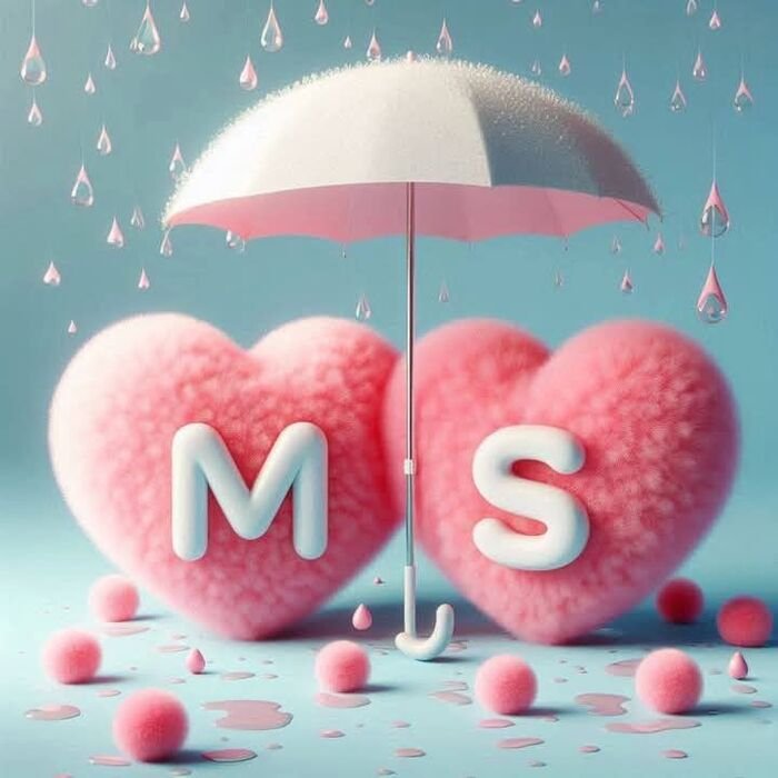 ms name dp aesthetic mood