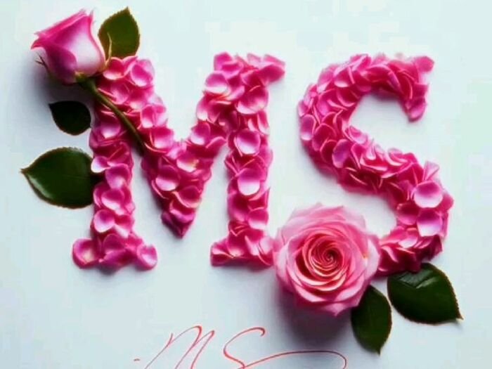 ms name dp calm mood