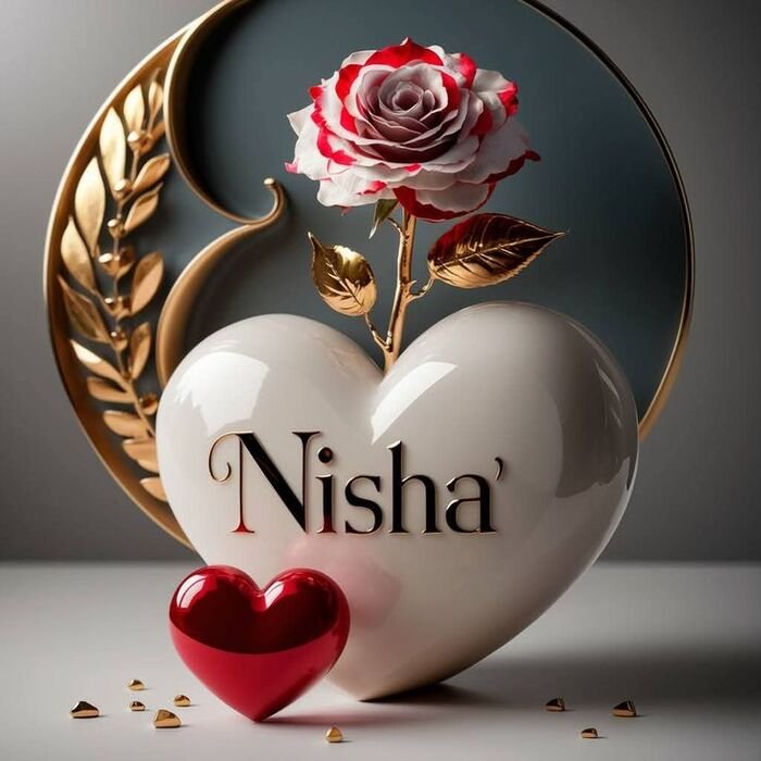 nisha name dp cute edit