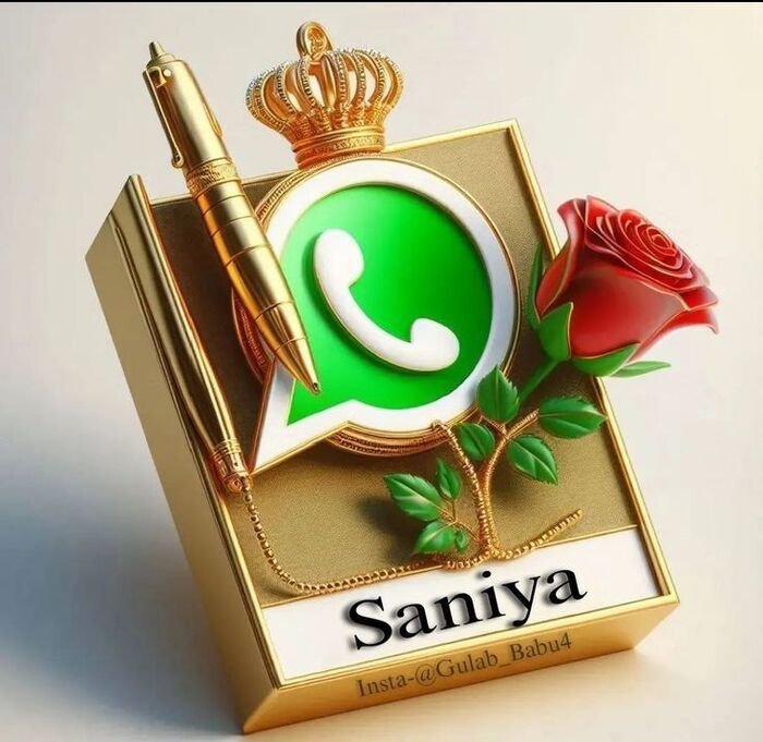 saniya name dp premium
