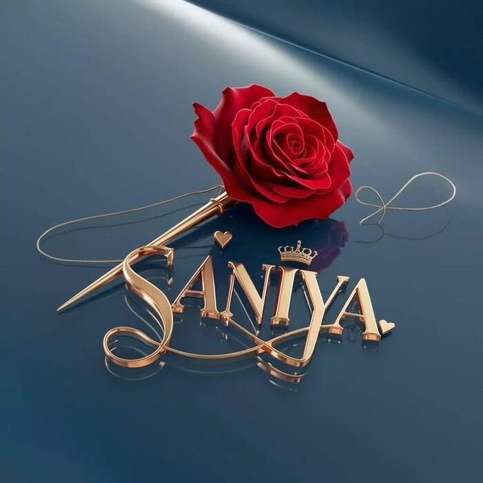 saniya name dp soft vibe