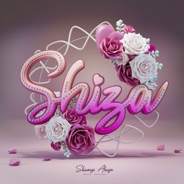 shifa name dp simple edit