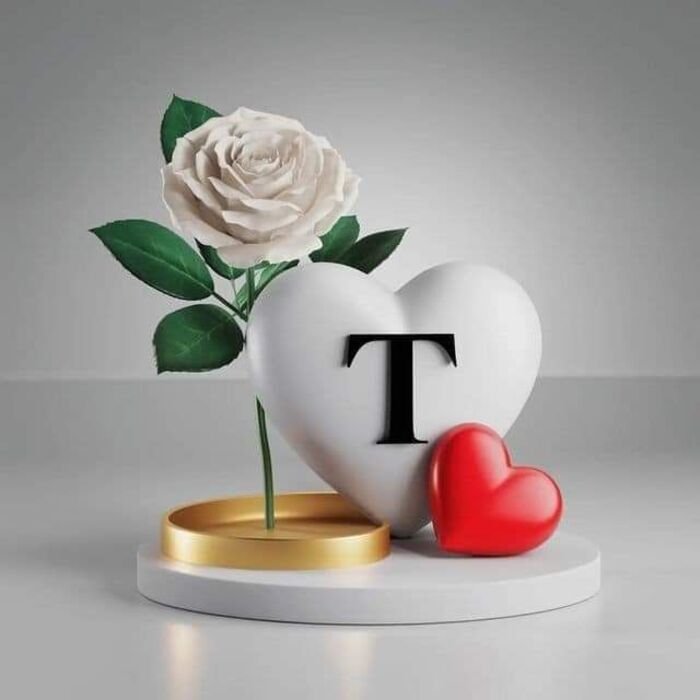 t name dp trending rose full hd