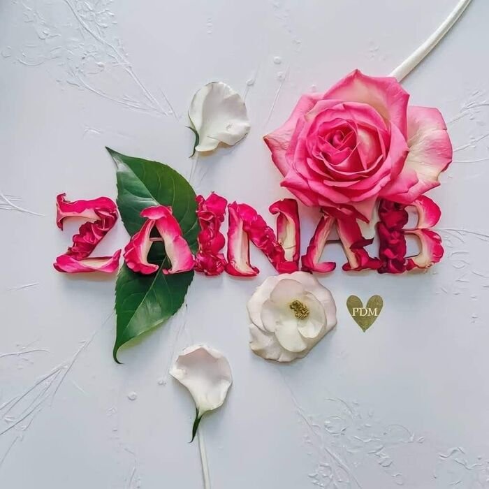 zainab name dp trending